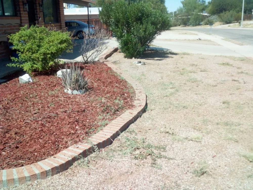 Affordable landscaping services in Tucson, AZ - Bonds Family Landscape