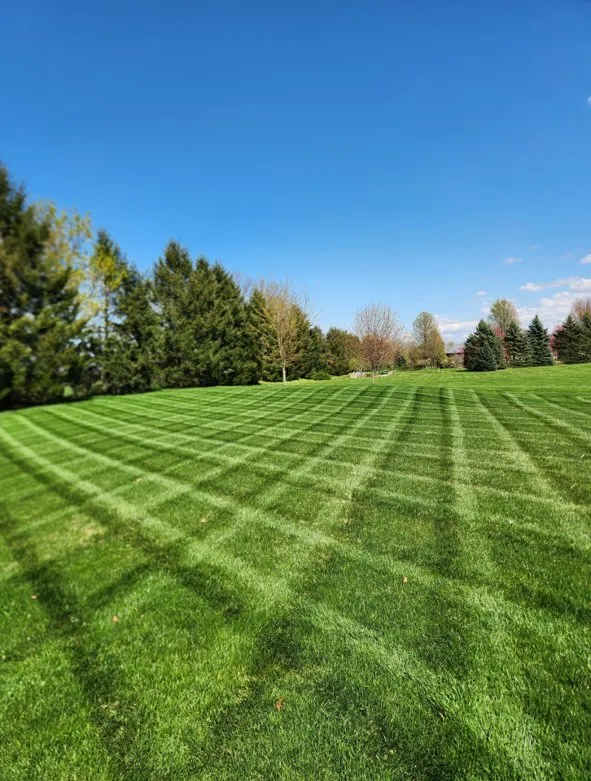 Professional lawn care service experts serving Bancroft, MI - Bondy's Landscaping