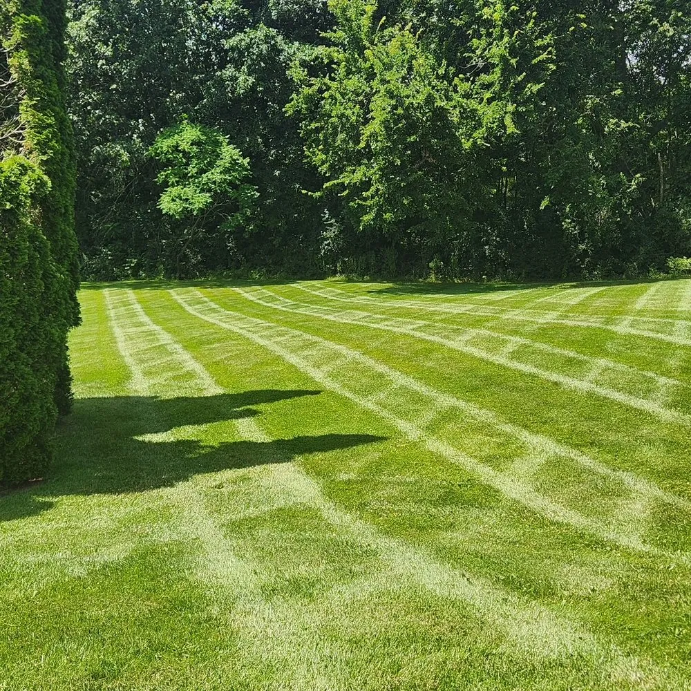 Affordable landscape installation in Bancroft, MI - Bondy's Landscaping