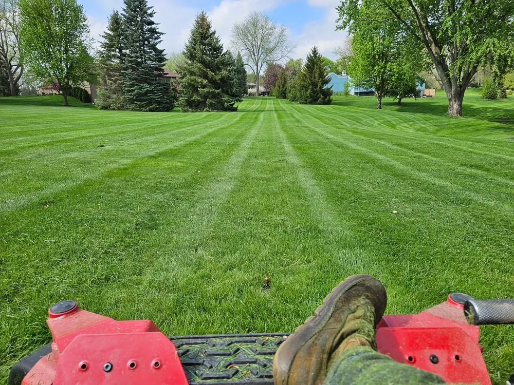 Expert yard cleanup service in Bancroft, MI by Bondy's Landscaping