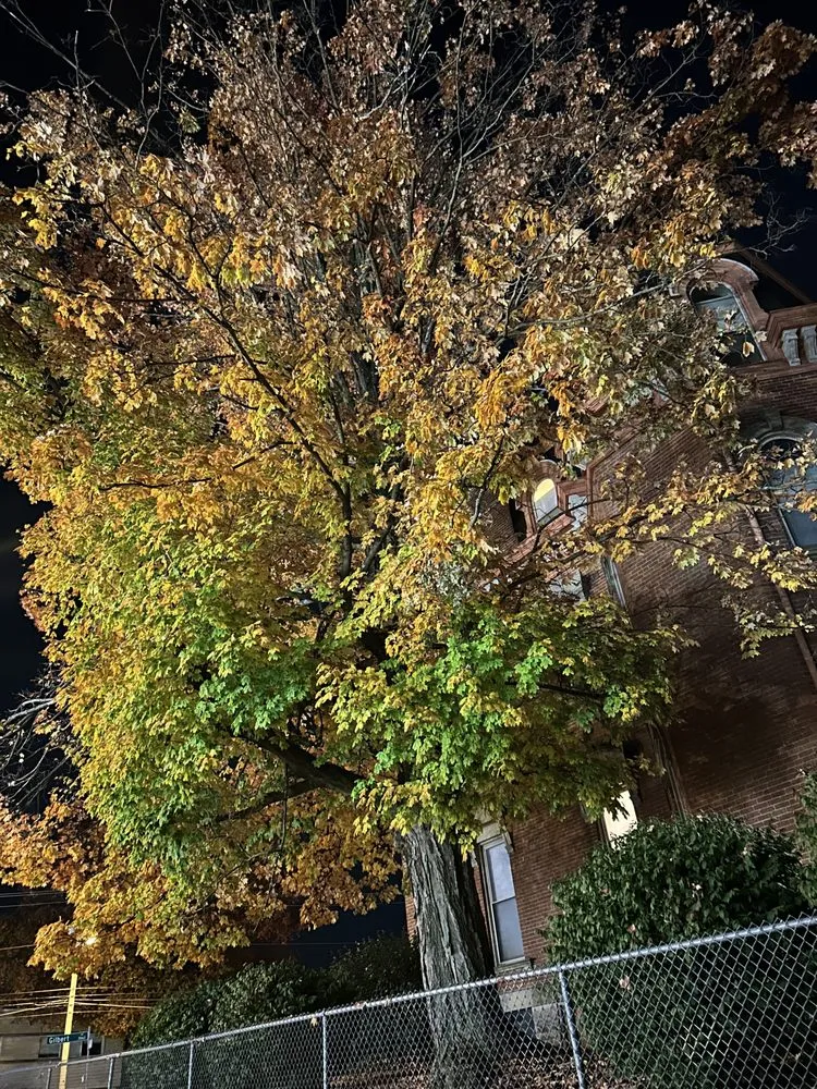 Affordable residential landscaping for residential properties across Cincinnati, OH - Bone Brothers Landscaping