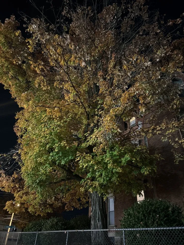 Trusted yard cleanup service for beautiful yards in Cincinnati, OH by Bone Brothers Landscaping