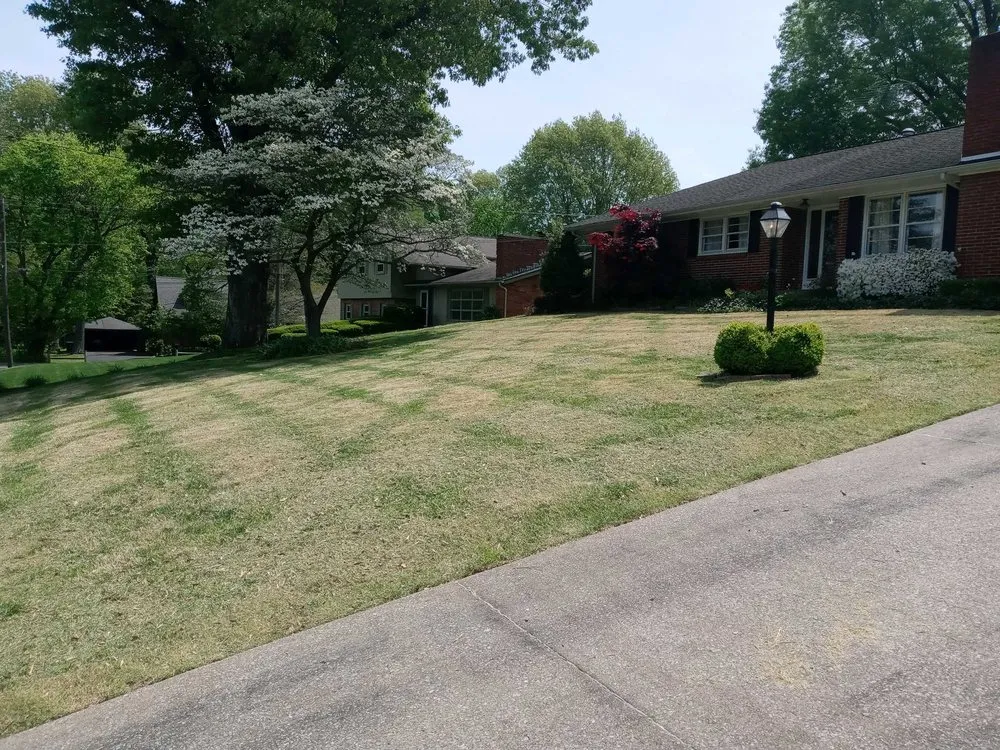 Custom landscape design experts serving Paducah, KY - Bone Yard Lawn Service