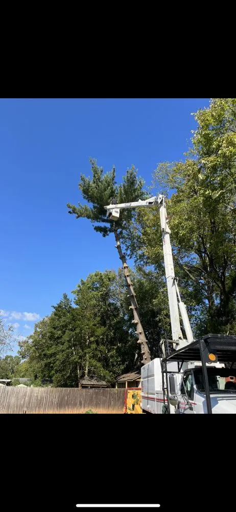 Reliable landscape design experts serving Murfreesboro, TN - Bonecutter's Tree Service