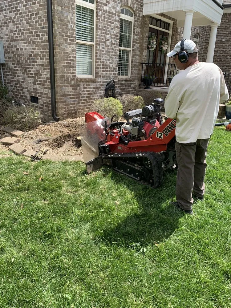 Top-rated yard cleanup service experts serving Murfreesboro, TN - Bonecutter's Tree Service