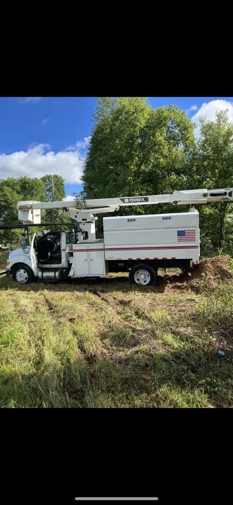 Local yard cleanup service for year-round maintenance in Murfreesboro, TN by Bonecutter's Tree Service