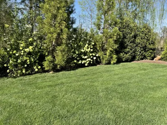 Bones Landscaping And Maintenance