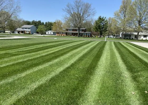 Bones Mowing