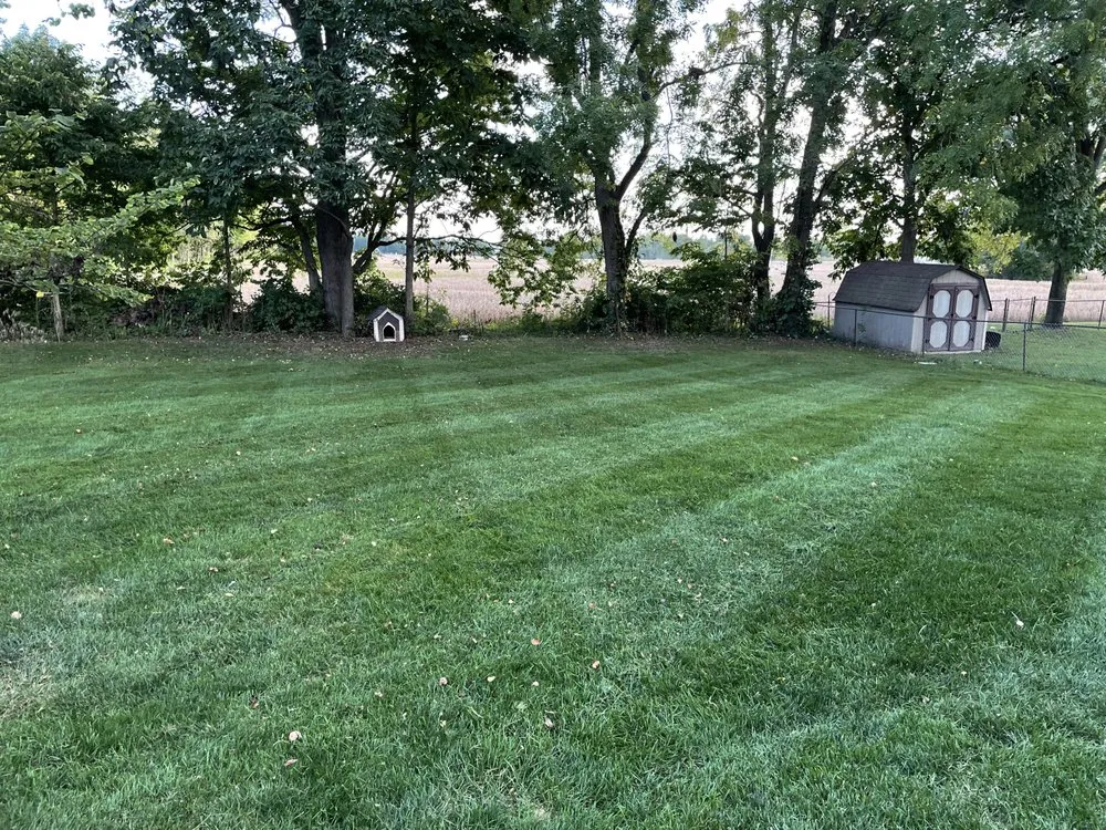 Custom landscaping services for homes across Indianapolis, IN - Bones Property Maintenance