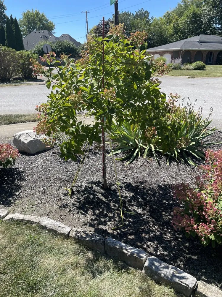 Local yard maintenance near you in Indianapolis, IN by Bones Property Maintenance