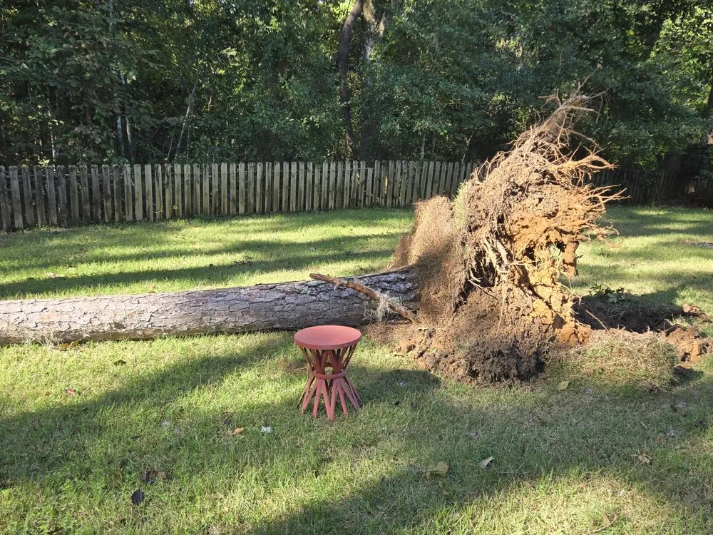 Top-rated garden landscaping experts serving Tallahassee, FL - Boney Buck Business