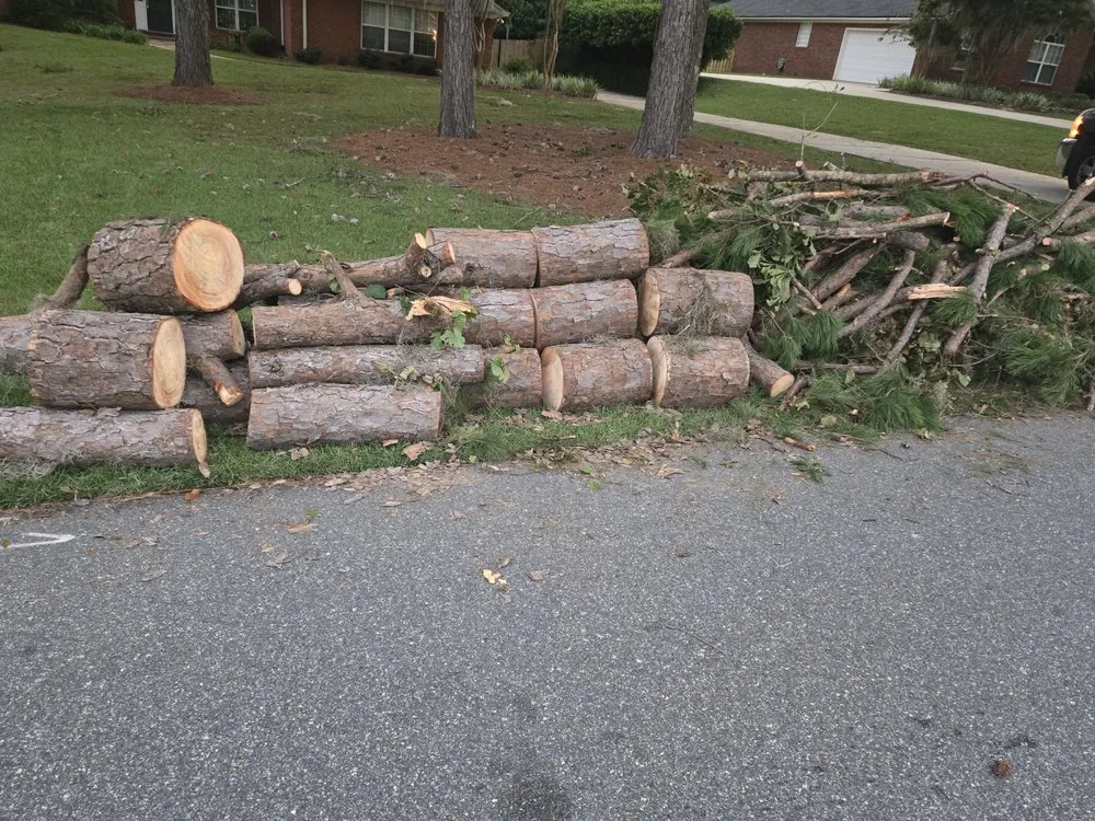 Trusted outdoor landscaping near you across Tallahassee, FL - Boney Buck Business