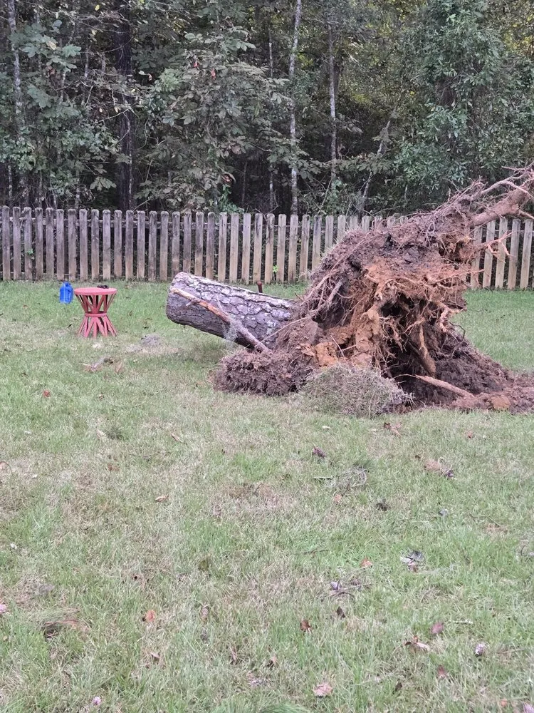 Professional landscaping services for residential properties in Tallahassee, FL by Boney Buck Business