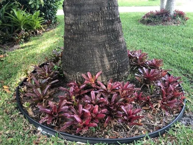 Trusted landscaping services for homes in Palm Beach Gardens, FL by Bongard Landscaping