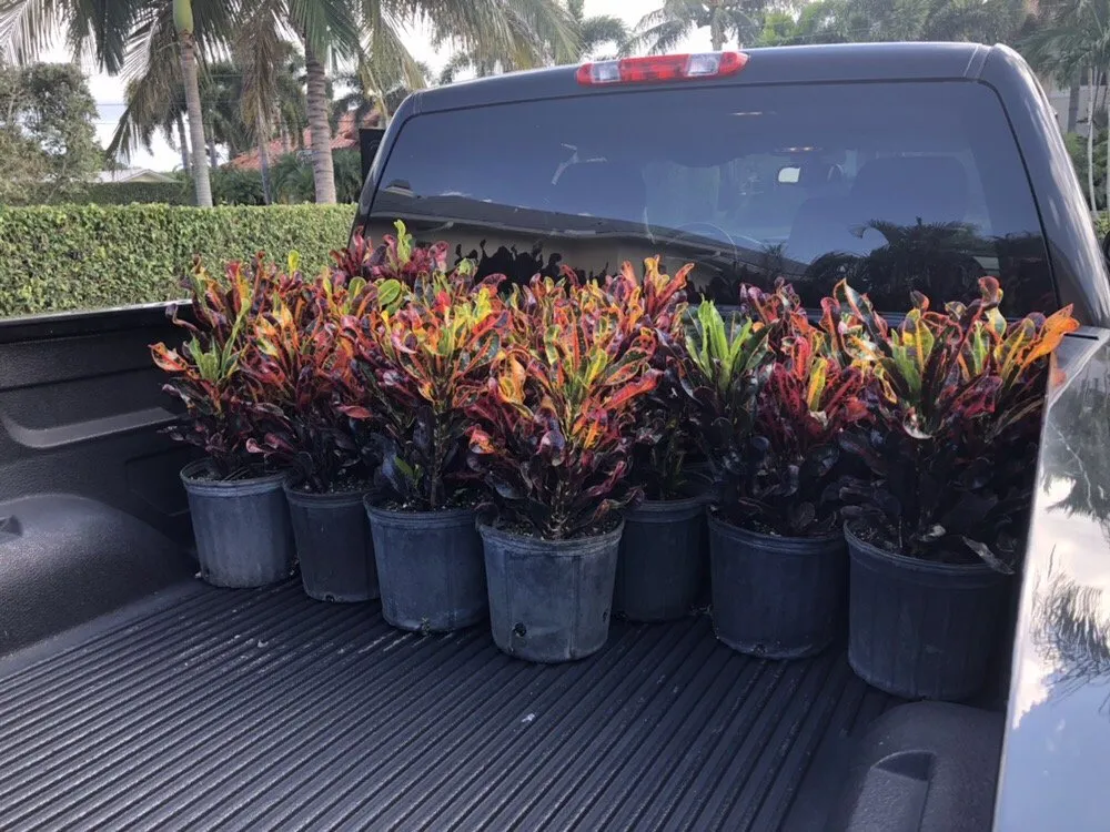 Reliable landscaping services in Palm Beach Gardens, FL by Bongard Landscaping