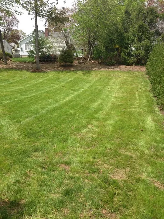 Expert lawn care service for homes in Middletown, CT by Bongoll Family Lawn Care