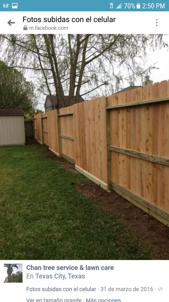 Custom yard maintenance experts serving Dickinson, TX - Boni Tree Service & Stump Grinding