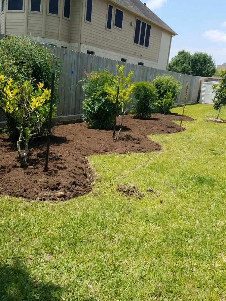 Affordable landscaping services experts serving Dickinson, TX - Boni Tree Service & Stump Grinding