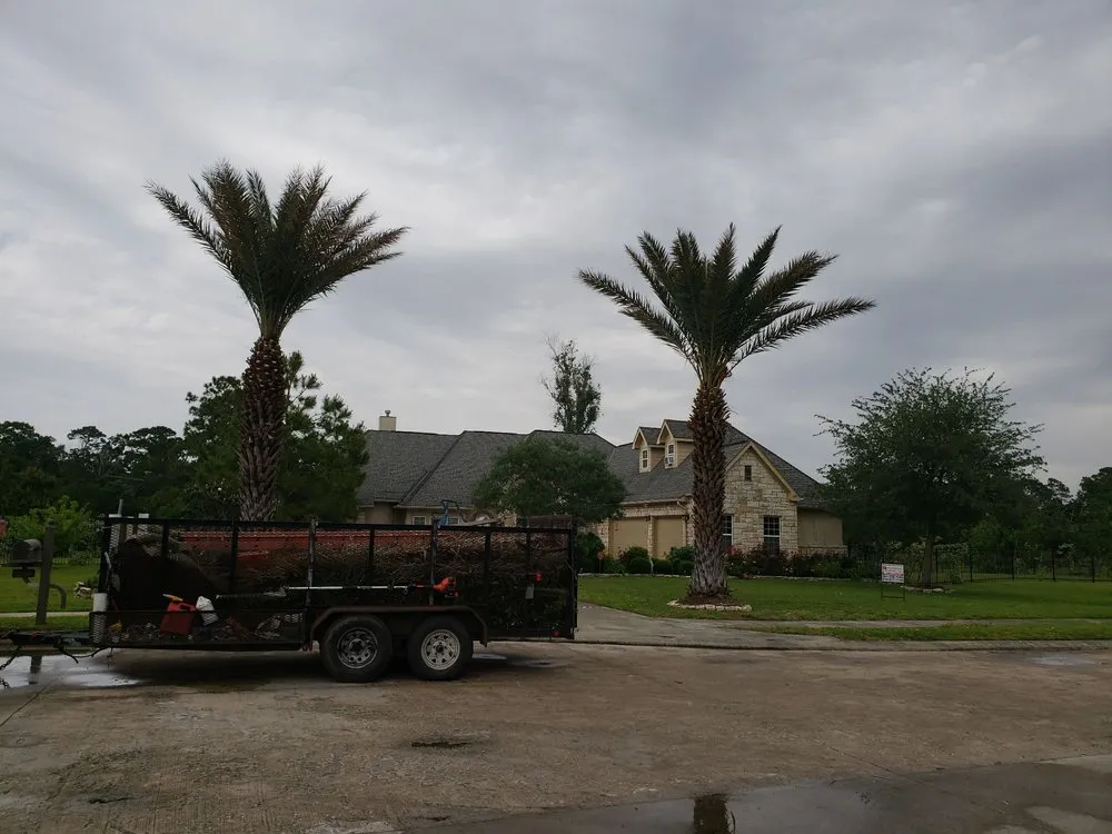 Professional landscaping services for outdoor upgrades across Dickinson, TX - Boni Tree Service & Stump Grinding