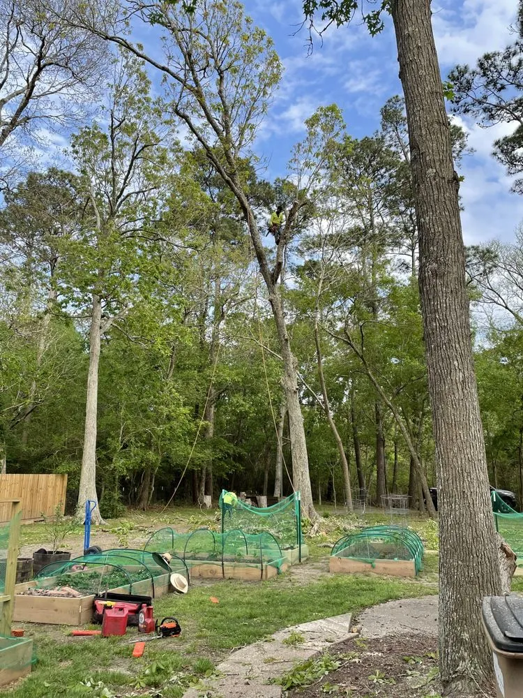 Affordable landscape installation for outdoor upgrades across Dickinson, TX - Boni Tree Service & Stump Grinding