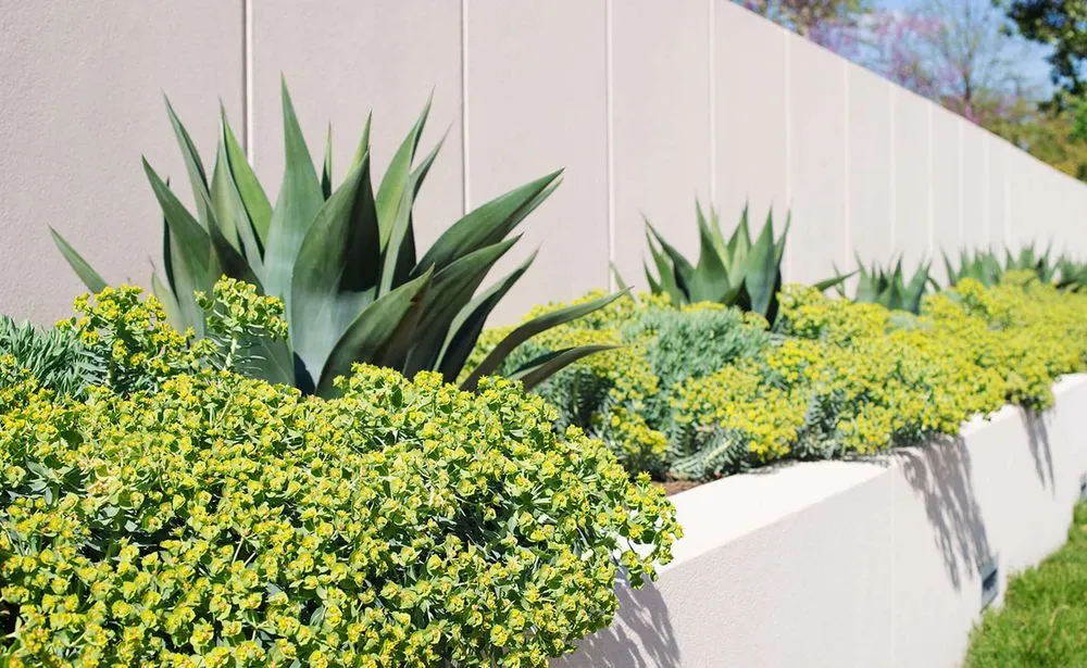 Reliable yard maintenance experts serving Irving, TX - Bonick Landscaping