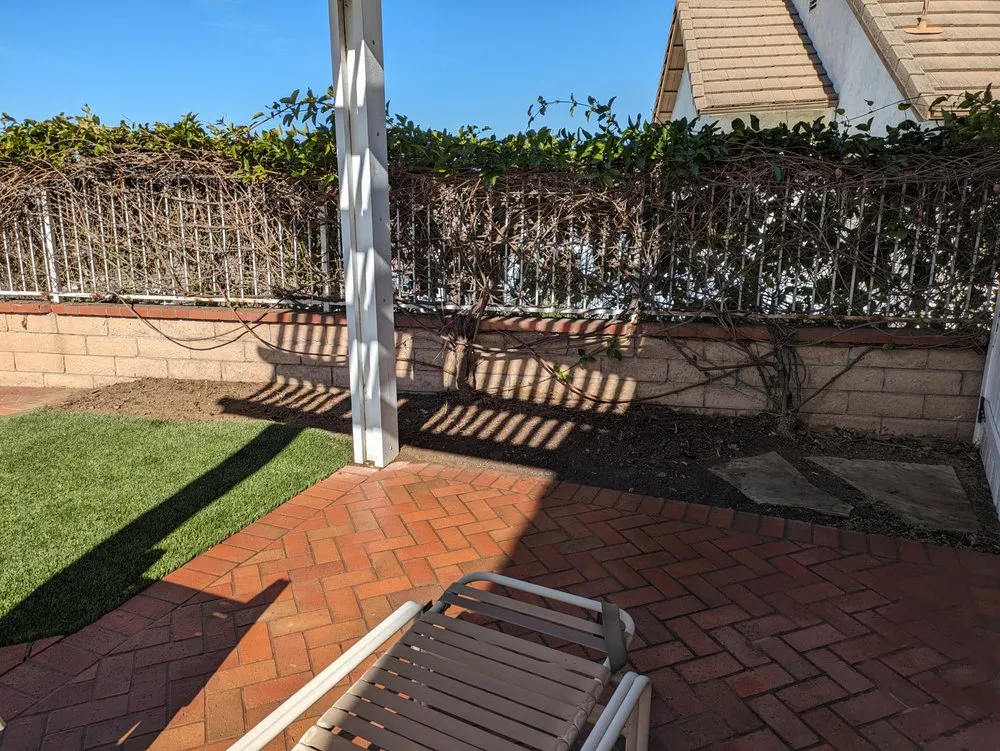 Professional yard maintenance in Orange, CA by Bonico Landscapes