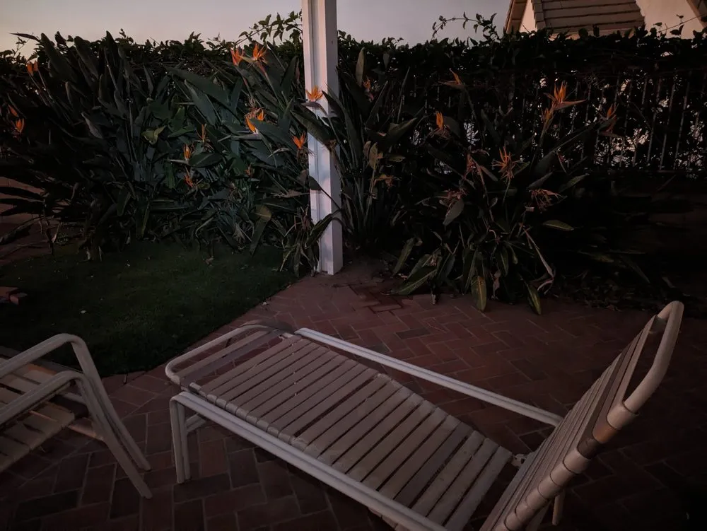 Expert landscaping services for year-round maintenance in Orange, CA by Bonico Landscapes