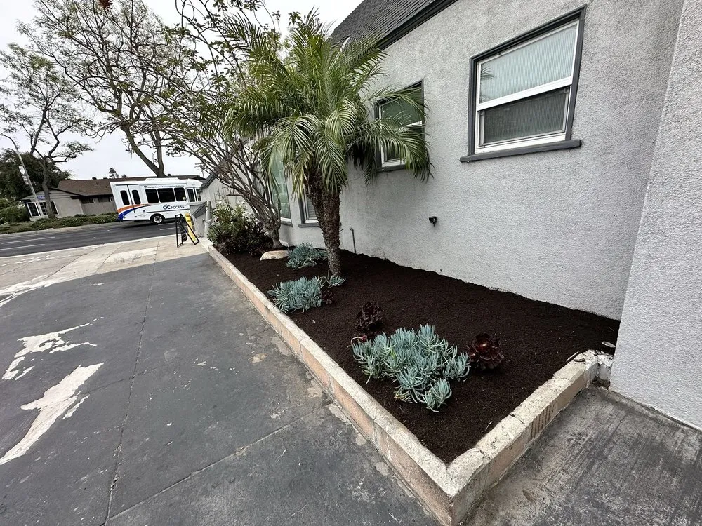 Custom yard cleanup service experts serving Orange, CA - Bonico Landscapes
