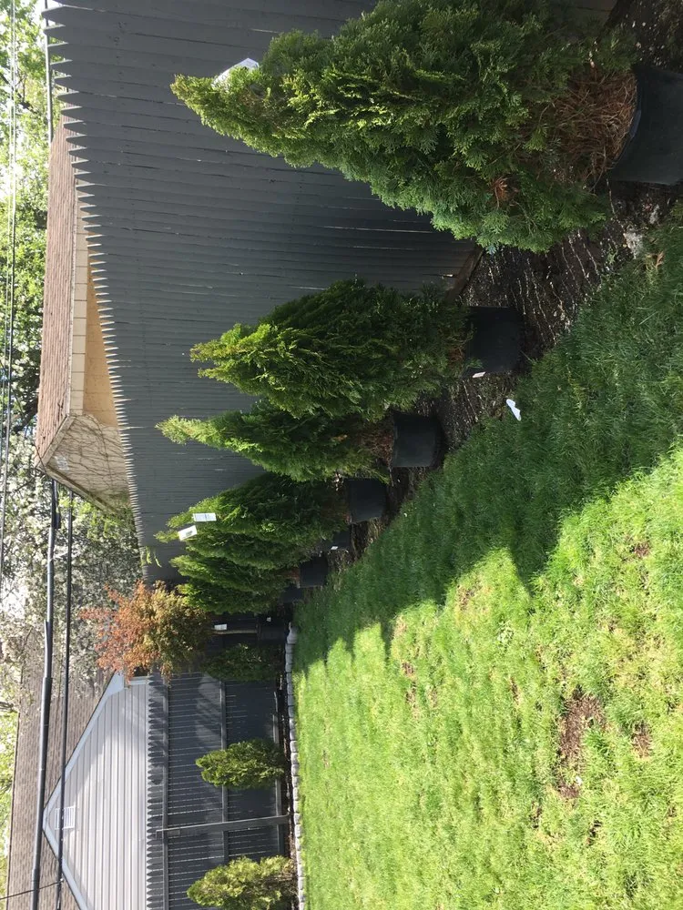 Trusted yard maintenance in Hempstead, NY by Bonilla Landscaping