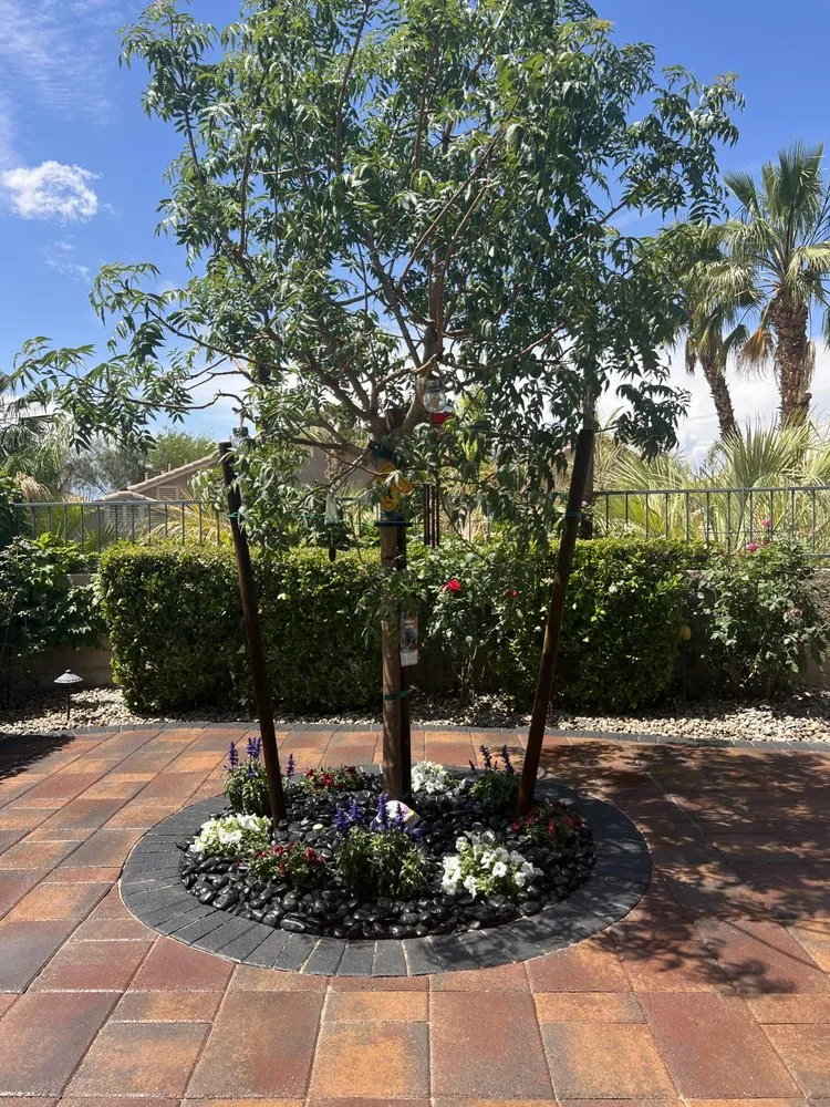 Top-rated yard maintenance near you in Las Vegas, NV by Bonilla Landscaping