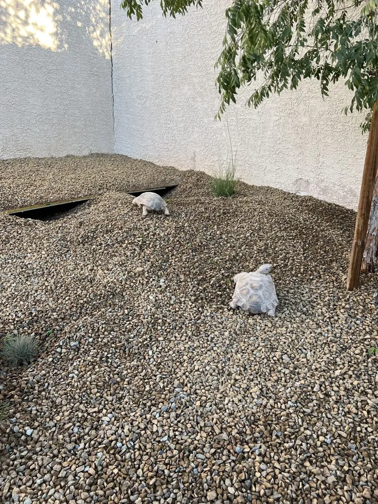 Expert residential landscaping in Las Vegas, NV - Bonilla Landscaping