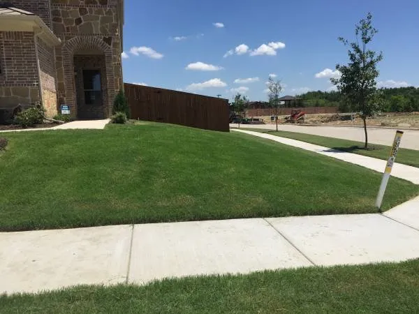 Professional landscape design in Plano, TX - Bonilla Landscaping