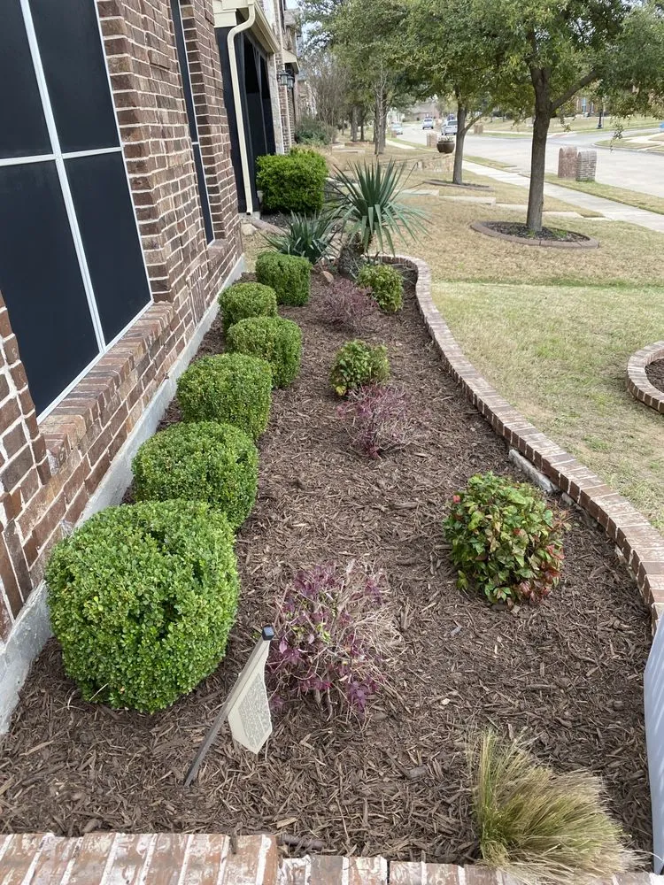 Custom lawn care service in Little Elm, TX - Bonilla Lawn and Garden Care