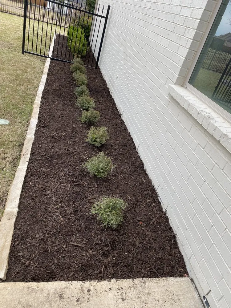 Professional yard maintenance in Little Elm, TX - Bonilla Lawn and Garden Care