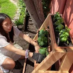 Local residential landscaping in Camarillo, CA by Bonilla Nurseries