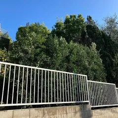 Expert landscaping services near you in Camarillo, CA by Bonilla Nurseries