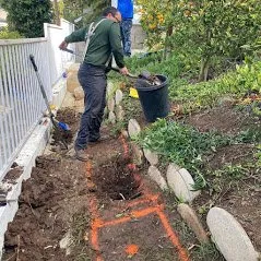 Professional lawn care service in Camarillo, CA by Bonilla Nurseries