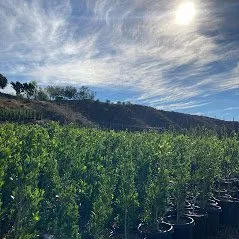 Affordable garden landscaping experts serving Camarillo, CA - Bonilla Nurseries