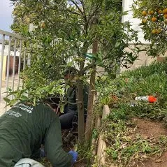 Trusted garden landscaping with custom design across Camarillo, CA - Bonilla Nurseries