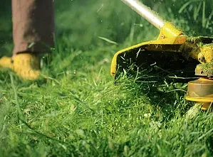 Professional lawn care service for outdoor upgrades in Ardmore, PA by Bonilla Services