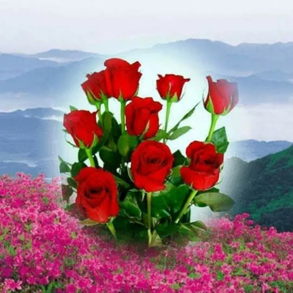 Local landscape installation in Bay Shore, NY - Bonilla's Cleaning Service