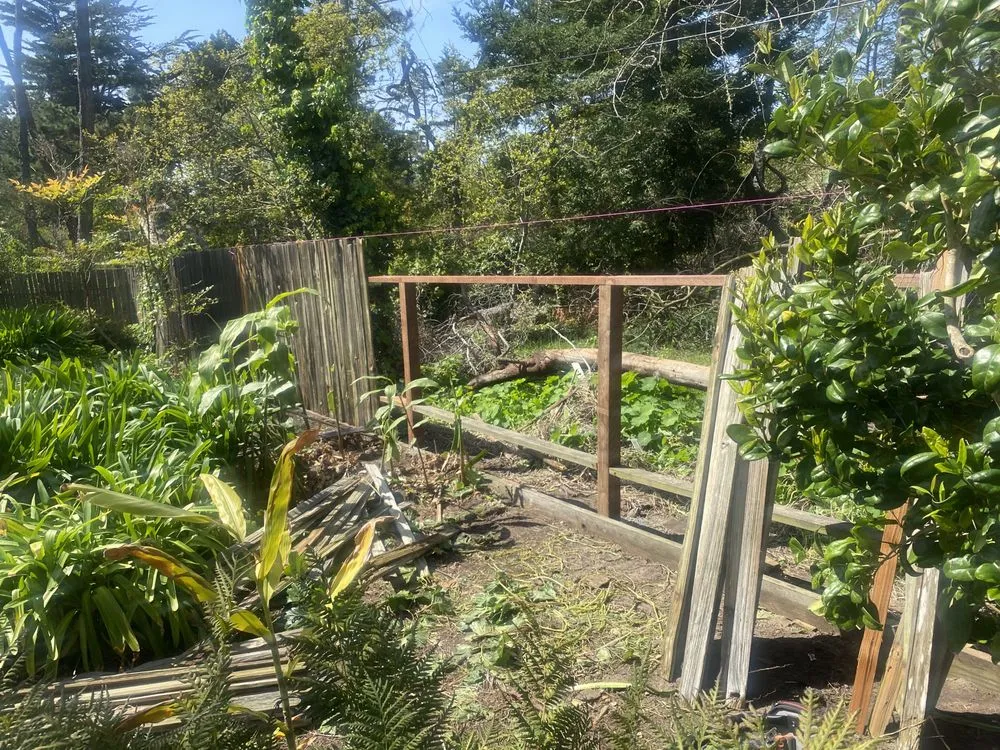 Trusted lawn mowing service with custom design across Castroville, CA - Bonillas Hauling Services