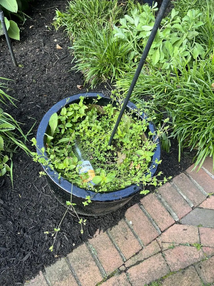 Affordable outdoor landscaping in Bayonne, NJ by Bonilla's Landscaping