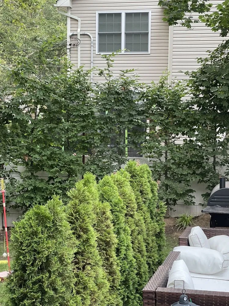 Custom landscape installation experts serving Bayonne, NJ - Bonilla's Landscaping