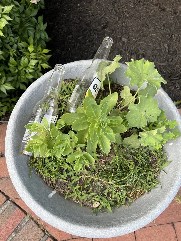 Local yard maintenance in Bayonne, NJ - Bonilla's Landscaping