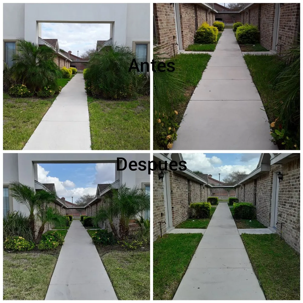 Custom yard maintenance experts serving Mission, TX - Bonilla's Landscaping