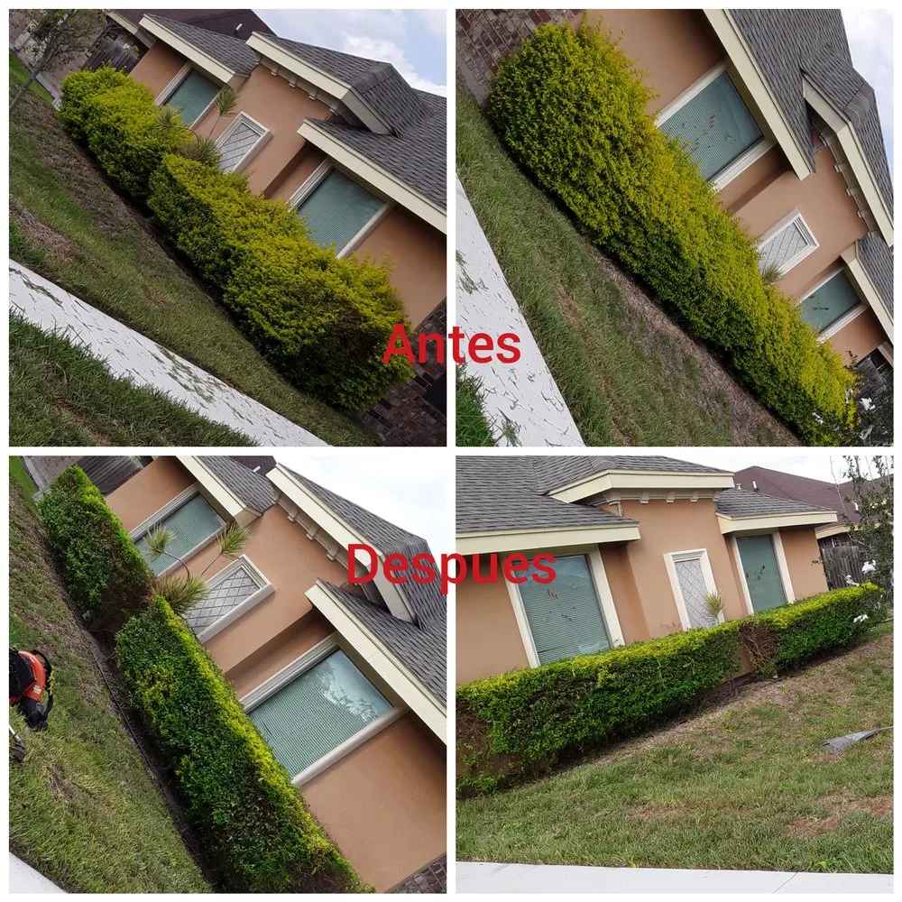 Top-rated yard cleanup service experts serving Mission, TX - Bonilla's Landscaping