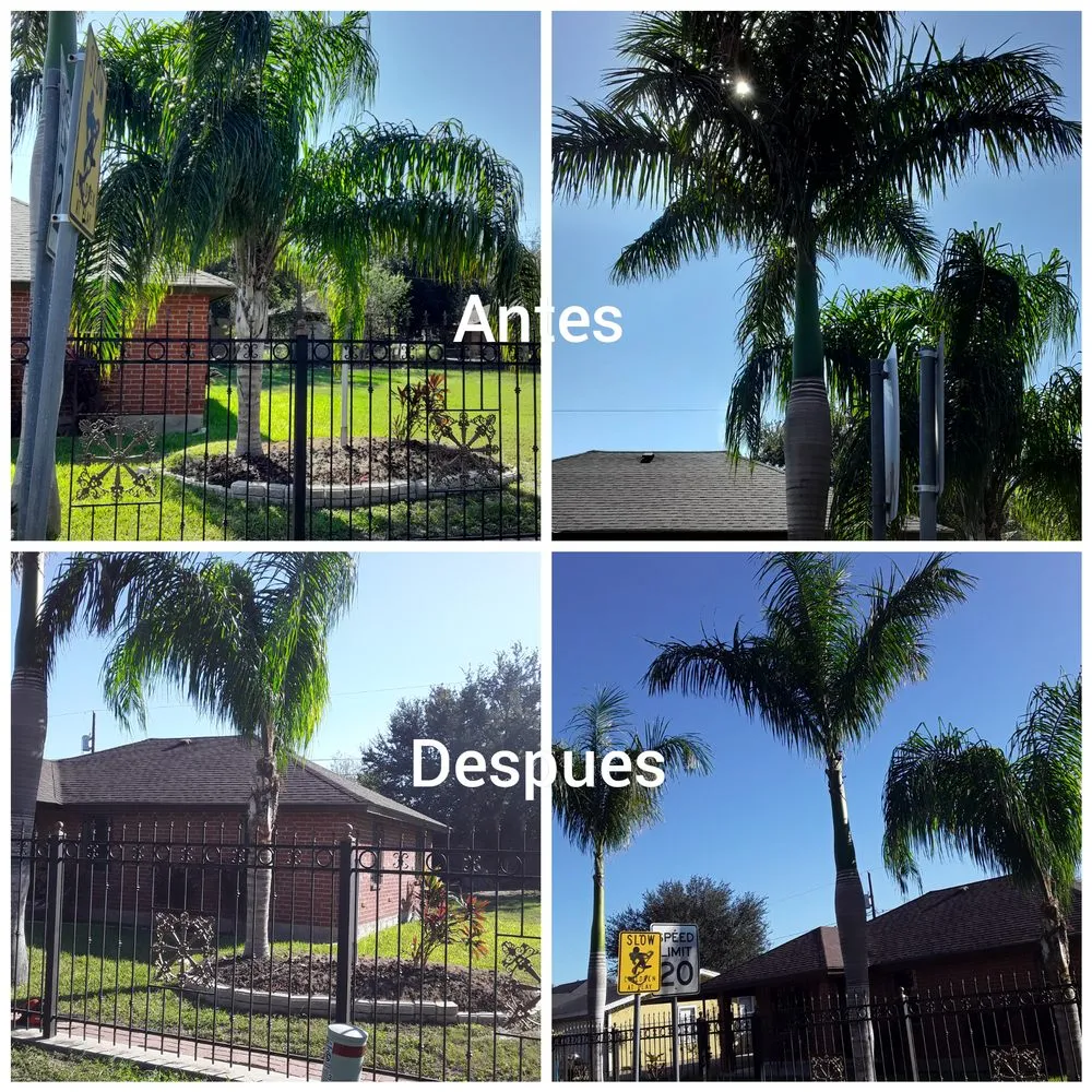 Local outdoor landscaping in Mission, TX by Bonilla's Landscaping