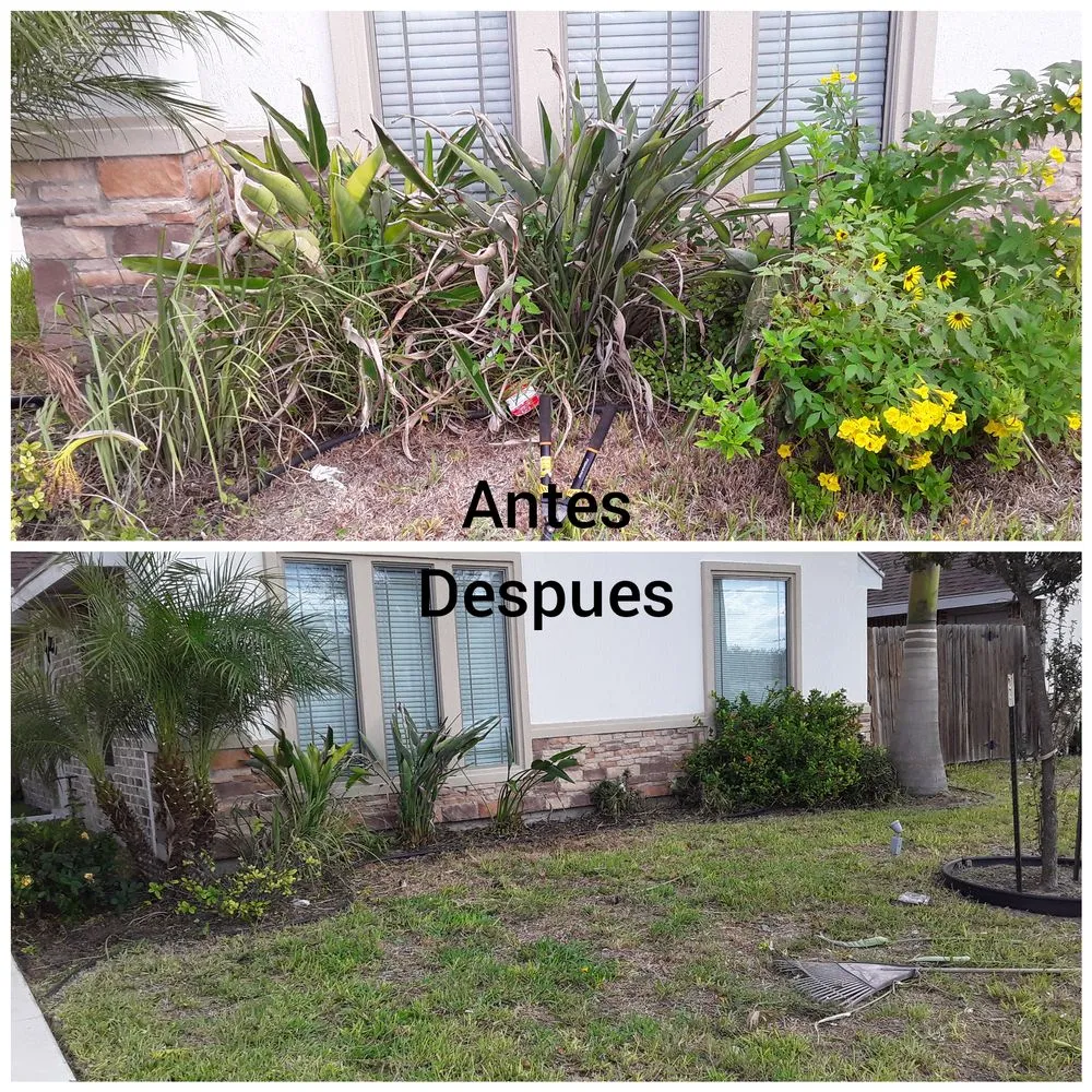 Professional landscape design for residential properties across Mission, TX - Bonilla's Landscaping