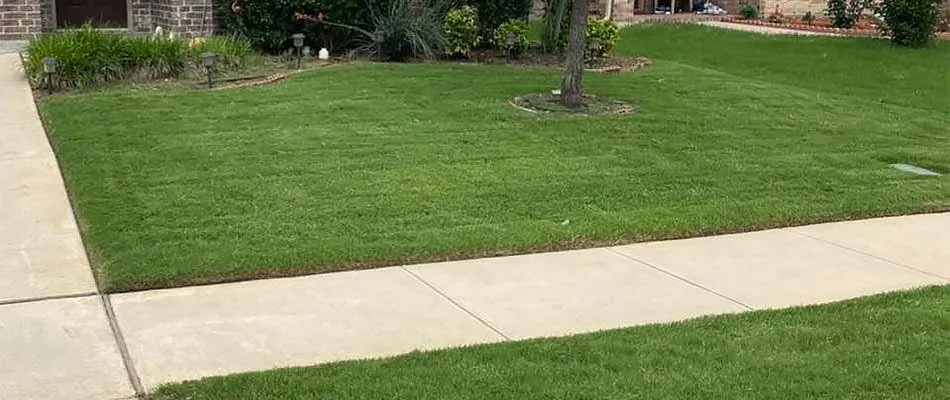 Affordable garden landscaping in Clovis, CA - Bonilla’s Lawn Care Service
